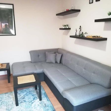 Viki Apartment Centar Nis Exterior photo