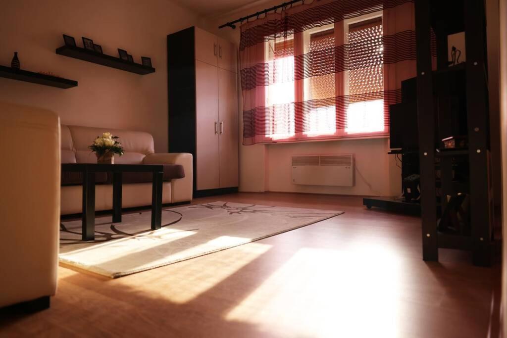 Viki Apartment Centar Nis Exterior photo